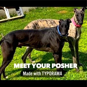 Meet your Posher, Tina!